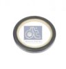 DT 6.53301 Shaft Oil Seal